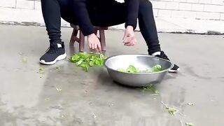 458.mp4