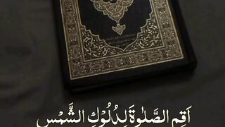 VID-20250323-WA0008.mp4