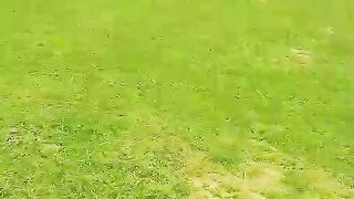 Beautiful HMC warriors cricket ground