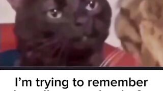 #viralreelsシ #viralvideochallenge #facebookviral #funnyvideos #humor #life #funny #story #fun
