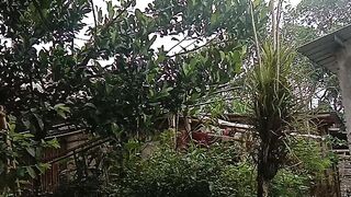 Pekarangan belakang