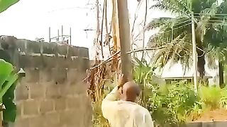 Collection of videos funny