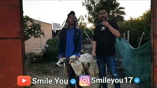 لم تسمع به من قبل. بدافع الفضول، تنطلق للبحث عن هذا