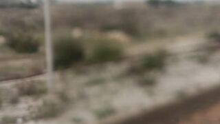 محطة الدالية