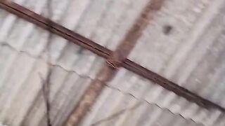 Oodhni_#bollywood_#song_#music_#shorts_#shortsfeed_#tranding(720p).mp