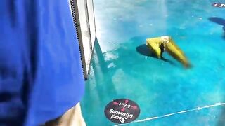 Moray Eel