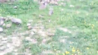La nature