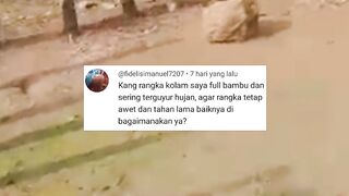 Kolam rangka BAMBU agar awet harus bagaimana❓