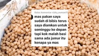 Pakan pelet jadi rusak akibat ketidak tahuan akan arti dari bibis pakan