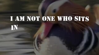 "I Am Not One Who Sits in Fear, I Am One Who Leaves Fear Behind!