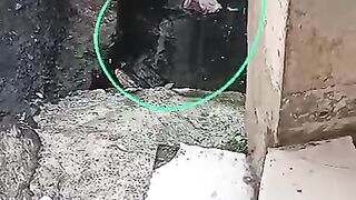Ada sesuatu