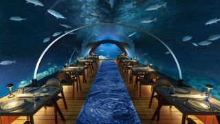 Underwater restaurant at a 5-star resort in the Maldives