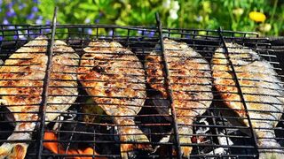 Fish on the grill