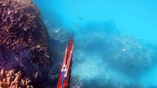 SPEARFISHING
