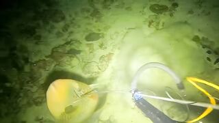 SPEARFISHING
