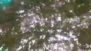 Panen & Sortir ikan lele gak akan lancar tanpa alat ini