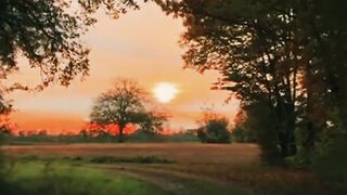 Breathtaking Sunset & Calming Nature Views to Soothe Your Soul ????✨