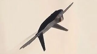 F-22 Raptor