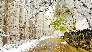 beautiful place