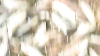 Funny ???????????? video #vir#short