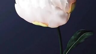 Flower,baby