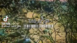 TikTok video 2023