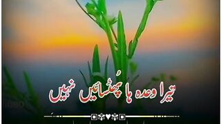 Umar khan