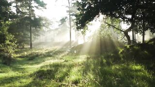 Sunrise, Meditation Music, Positive Energy music. Good Vibes, Healing Music,Calming Meditation Music