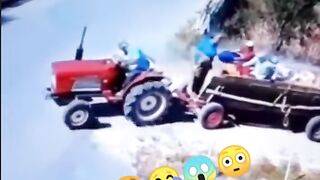 funny video ????????????