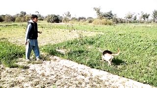 ASAD dogi ko Malta khila RHA hai