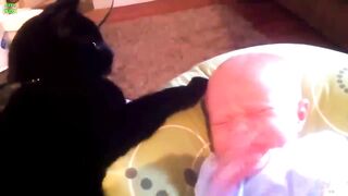 Best funny babies and animals compilation