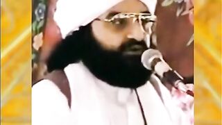 Peerr naseer