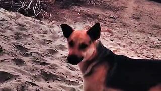 Funny video