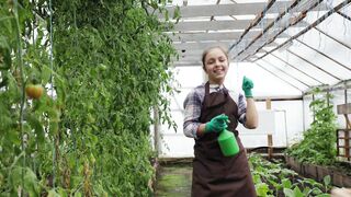 Love the garden