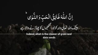 Tilawat e Quran