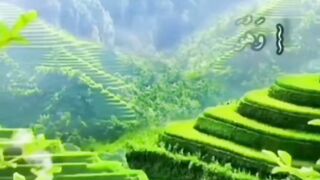 سبحان اللہ