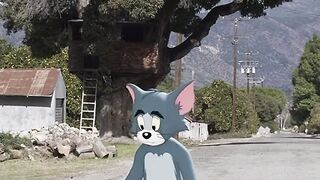 Cat vs mouse