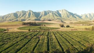 Fields and mountain