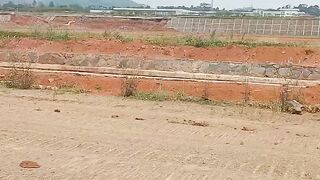 Industri batang