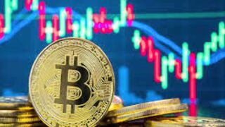 Nexal Incremento (2025) Review: Price and Where to Buy