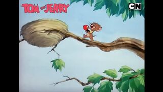 Tom and Jerry