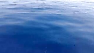 《古兰经》和《圣训》中的科学奇迹 9