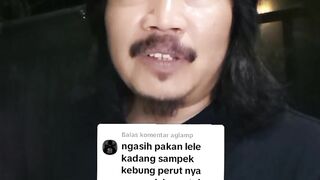 Ngasih makan ikan lele sampai perutnya kembung AMAN atau TIDAK❓