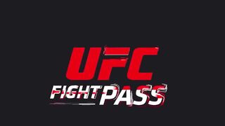 What a Fight UFC