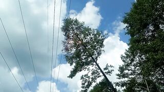 The arc is 110,000 volts. Ground fault