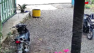 MAKE A SHOCK‼️WOMAN MAKES A DISORDER ON THE ROAD, MAKING A MESS - GAS GETTING STUCK AND AUTO FLYING