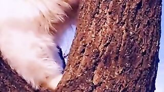 My lovely cat so cute so beautiful