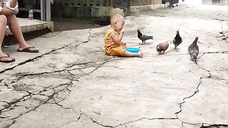 Aku dan burung