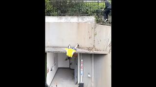 المُقابل في تهذيبه، فيزداد ارتباكه، لكنه يُوافق على