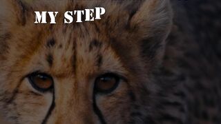 Success is NOT in Your Steps, But in Your DETERMINATION! ???? Keep Moving Forward!"